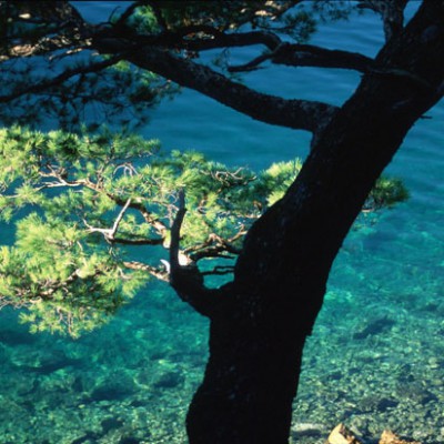 Blue Adriatic Sea