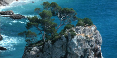 Small Island next to beach Punta Rata in Brela