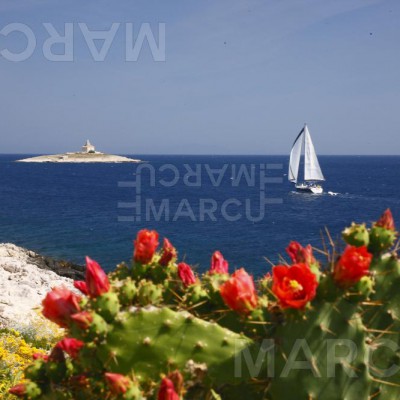 Hvar - Lighthouse Pokonji Dol