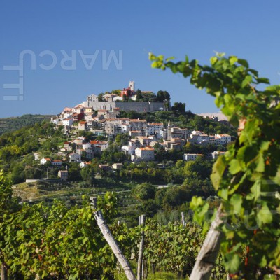 Motovun - Istria Croatia